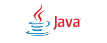 Project readiness, IT job readiness, Job readiness, Hands-on learning
